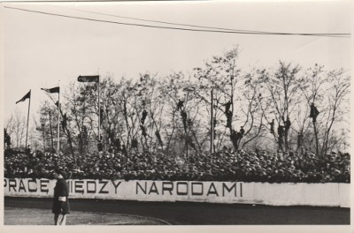 Kolarstwo kobiece